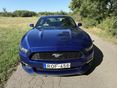 FORD MUSTANG 2016/7 - 4