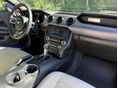 FORD MUSTANG 2016/7 - 7