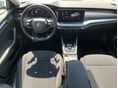 SKODA OCTAVIA 2023/4 - 5