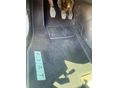 FIAT PUNTO 2007/5 - 3
