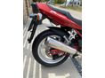 SUZUKI GSF 400 (BANDIT) 1993 - 6