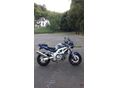 SUZUKI SV 650 N 2003/10 - 6