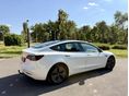 TESLA MODEL 3 2020/12 - 2