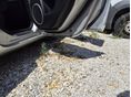 MAZDA 3 2009/3 - 12