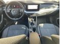SKODA OCTAVIA 2023/4 - 7