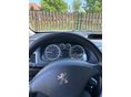 PEUGEOT 307 2001/11 - 8