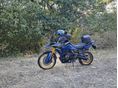 SUZUKI DL 800 DE 