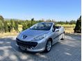 PEUGEOT 207 2007/10 - 9