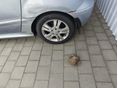 MERCEDES-BENZ B 170 2005/8 - 5