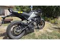 HUSQVARNA SVARTPILEN 401 2025/3 - 4