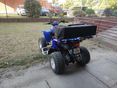 KYMCO KXR 250 2005 - 4