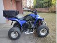 KYMCO KXR 250 2005 - 6