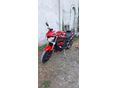 TRIUMPH SPEED TRIPLE 1050 2011/4 - 2