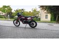 SWM RS 500 R 2019/4 - 7