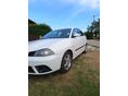 SEAT IBIZA 2009/1 - 7