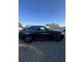 BMW X4 2025/4 - 12