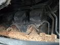 MERCEDES-BENZ 2000 - 9
