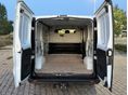 FIAT TALENTO 2019/10 - 5