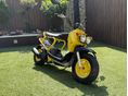 HONDA ZOOMER Gyönyörű állapot