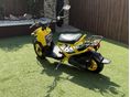 HONDA ZOOMER 2015/5 - 2