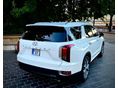 HYUNDAI PALISADE 2021 - 2