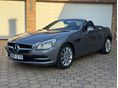 MERCEDES-BENZ SLK 200 2011/5 - 2
