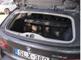 BMW 318 2015/7 - 19