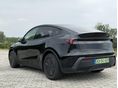 TESLA MODEL Y Standard Long Range RWD (Automata) Juniperi