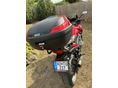 HONDA CBF 600 2011/10 - 5
