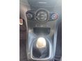 FORD FIESTA 2014/3 - 12
