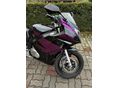 SUZUKI GS 500 F 2005/10 - 9