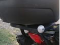 HONDA CBF 600 2005/6 - 7