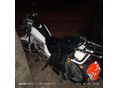 HYOSUNG CRUISE CLASSIC 1998/6 - 4