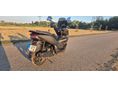 HONDA PCX 125 2019/6 - 5