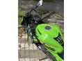 KAWASAKI NINJA 125 2019 - 8