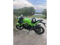 KAWASAKI NINJA 125 2019 - 9