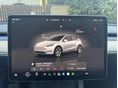TESLA MODEL Y 2023/3 - 11