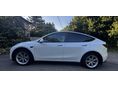 TESLA MODEL Y 2023/3 - 10