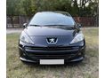 PEUGEOT 207 2007/11 - 6