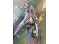 ZÜNDAPP EGYÉB 2019/8 - 10