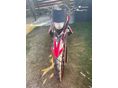 ZÜNDAPP EGYÉB 2019/8 - 12