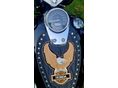HONDA VT 750 C SHADOW SPIRIT 2005 - 6