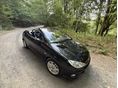 PEUGEOT 206 2005/3 - 6