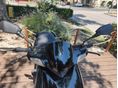 PIAGGIO TYPHOON 50 2011 - 5