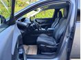 PEUGEOT 3008 2021/8 - 8