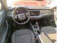 SKODA OCTAVIA 2020/8 - 6