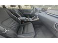 LEXUS NX 2018/8 - 4