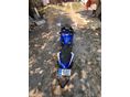 YAMAHA YZF R1 2008/11 - 7