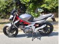 SUZUKI SFV 2011/12 - 8
