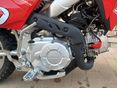 HONDA CRF 110 F 2025/10 - 5